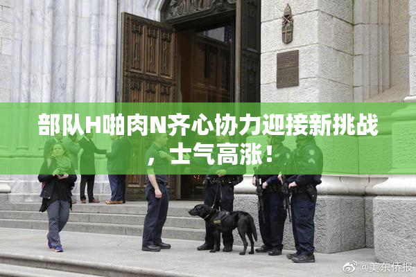 部队H啪肉N齐心协力迎接新挑战，士气高涨！