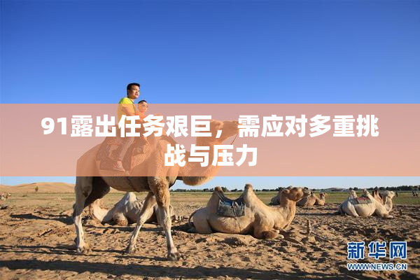 91露出任务艰巨，需应对多重挑战与压力