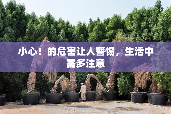 小心！的危害让人警惕，生活中需多注意