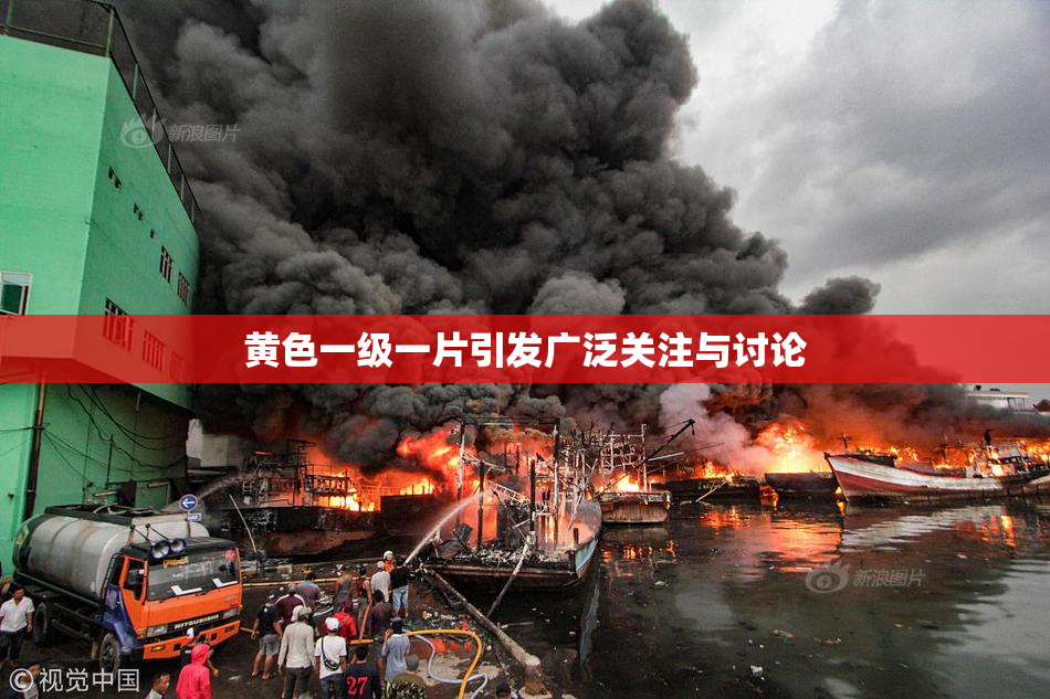 黄色一级一片引发广泛关注与讨论