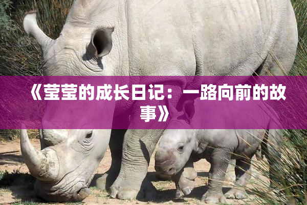 《莹莹的成长日记：一路向前的故事》