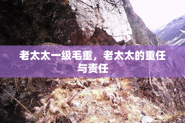 老太太一级毛重，老太太的重任与责任