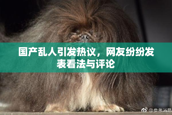 国产乱人引发热议，网友纷纷发表看法与评论