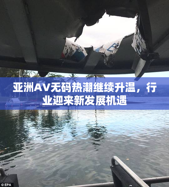 亚洲AV无码热潮继续升温，行业迎来新发展机遇