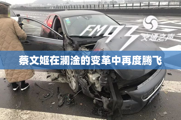 蔡文姬在澜淦的变革中再度腾飞