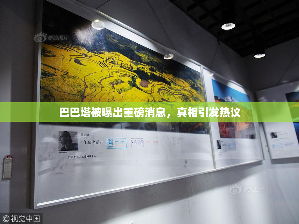 巴巴塔被曝出重磅消息，真相引发热议