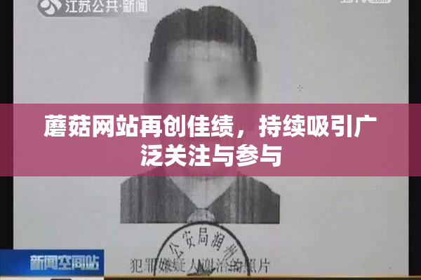 蘑菇网站再创佳绩，持续吸引广泛关注与参与