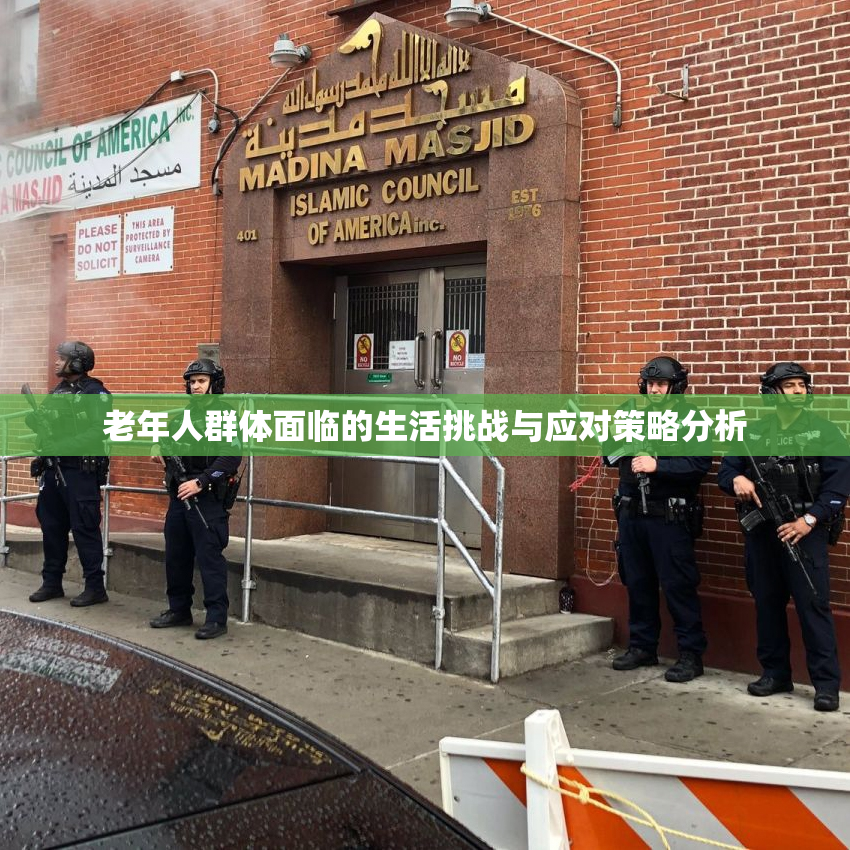 老年人群体面临的生活挑战与应对策略分析