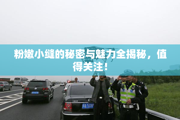 粉嫩小缝的秘密与魅力全揭秘，值得关注！