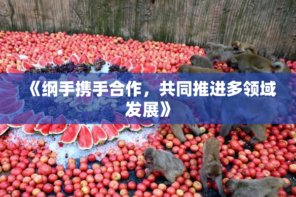《纲手携手合作，共同推进多领域发展》