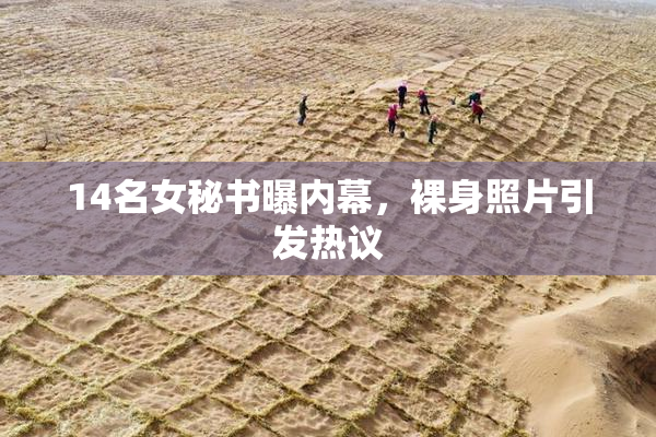 14名女秘书曝内幕，裸身照片引发热议