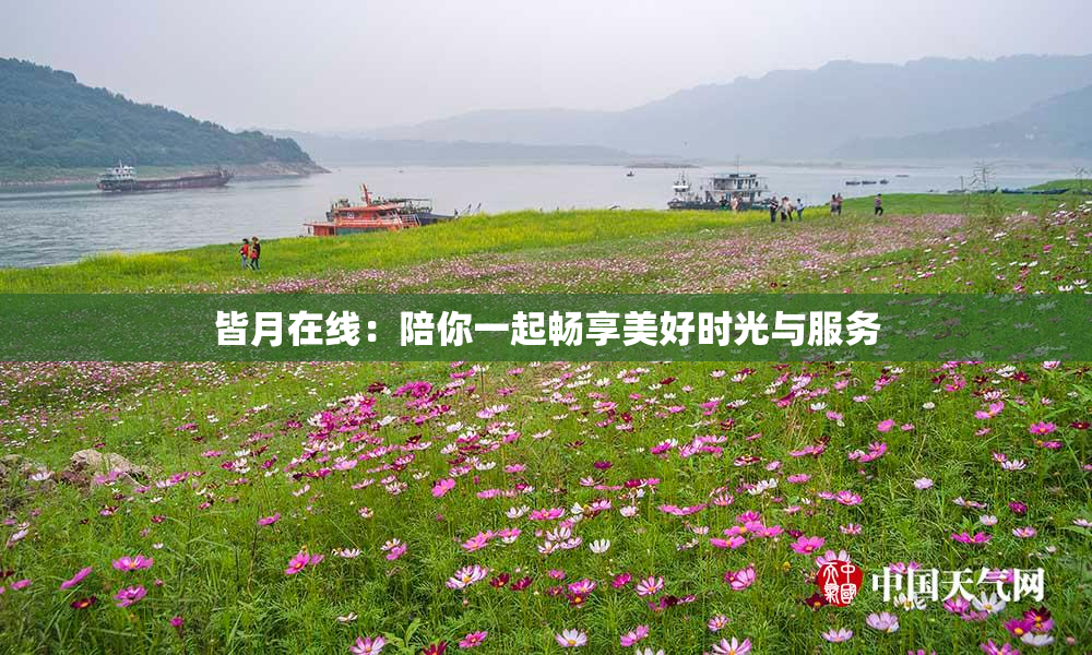 皆月在线：陪你一起畅享美好时光与服务