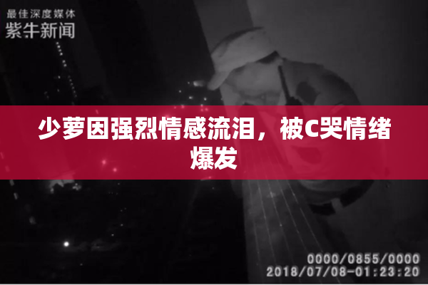 少萝因强烈情感流泪，被C哭情绪爆发