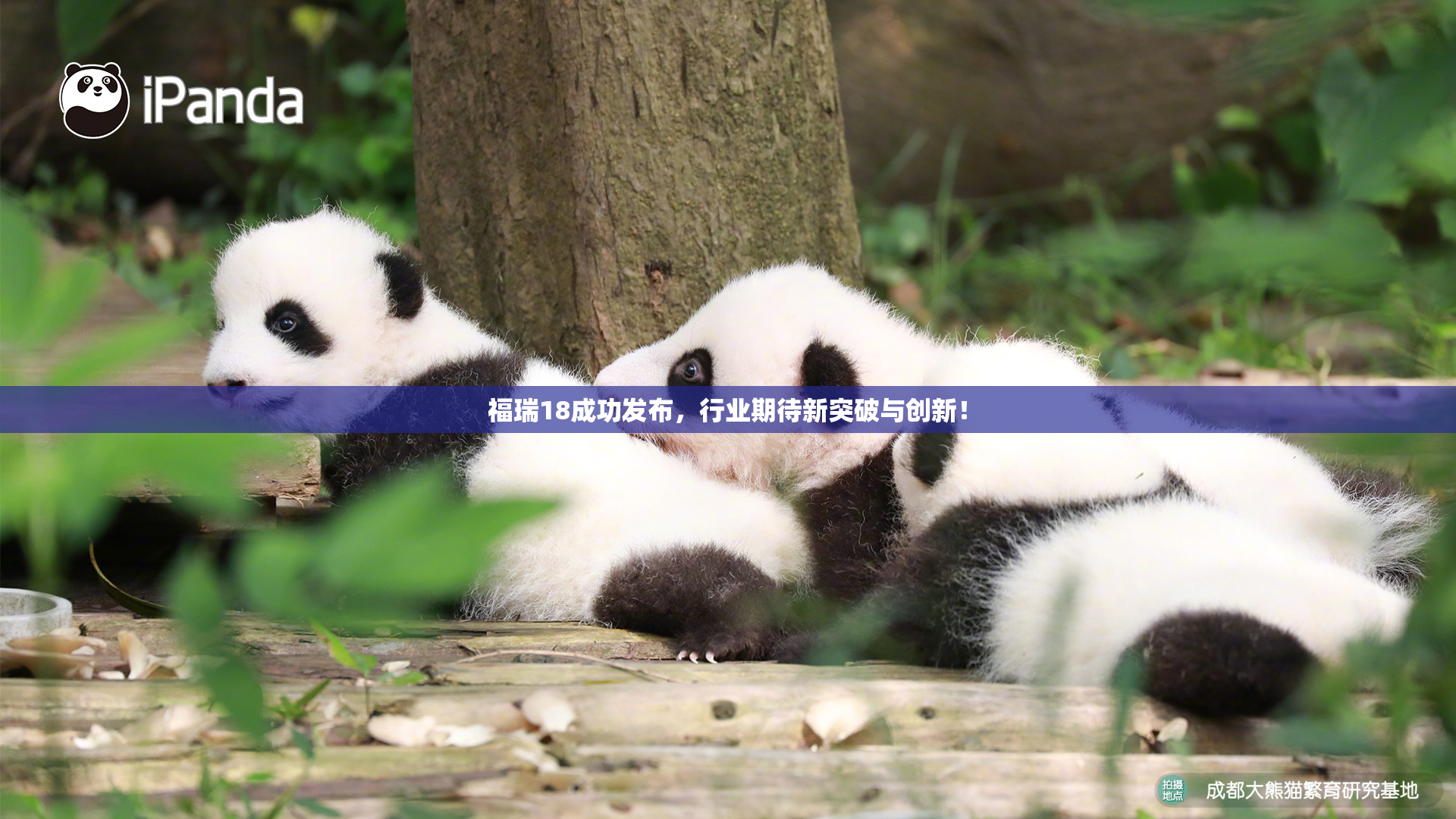 福瑞18成功发布，行业期待新突破与创新！