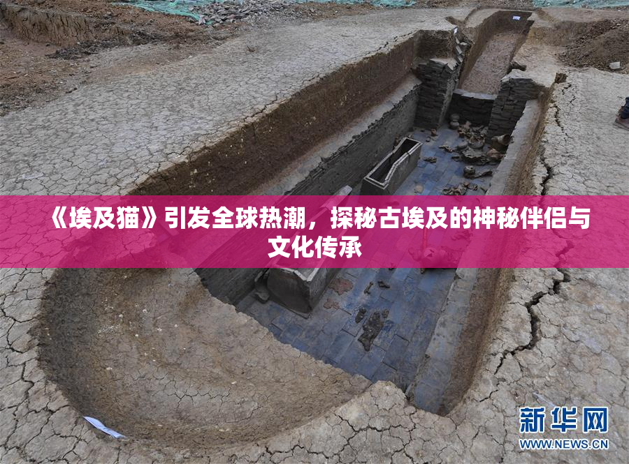 《埃及猫》引发全球热潮，探秘古埃及的神秘伴侣与文化传承