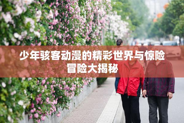 少年骇客动漫的精彩世界与惊险冒险大揭秘