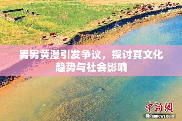 男男黄漫引发争议，探讨其文化趋势与社会影响