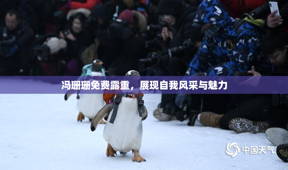 冯珊珊免费露重，展现自我风采与魅力