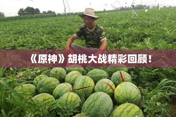 《原神》胡桃大战精彩回顾！