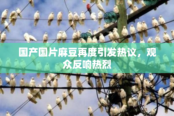 国产国片麻豆再度引发热议，观众反响热烈