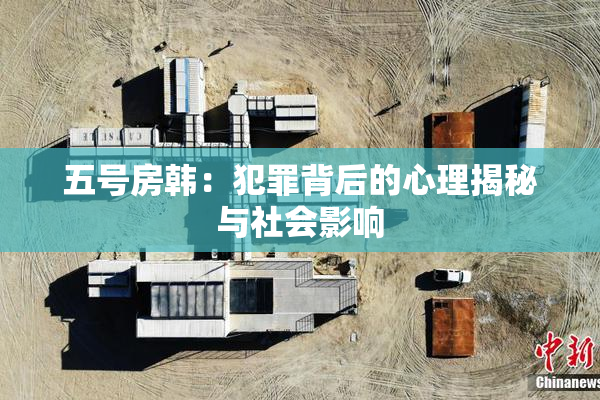 五号房韩：犯罪背后的心理揭秘与社会影响