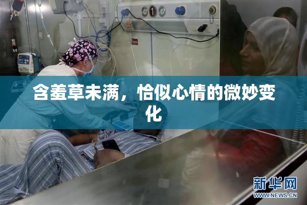 含羞草未满，恰似心情的微妙变化