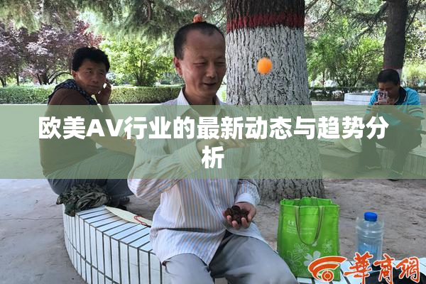 欧美AV行业的最新动态与趋势分析