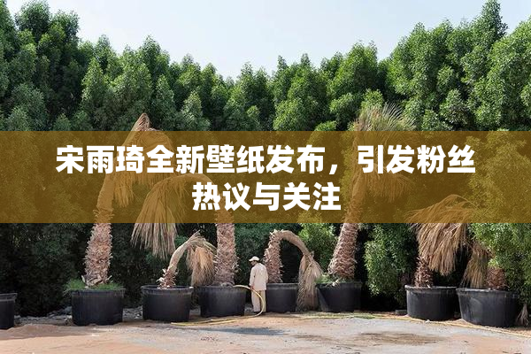 宋雨琦全新壁纸发布，引发粉丝热议与关注
