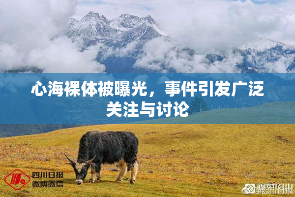 心海裸体被曝光，事件引发广泛关注与讨论