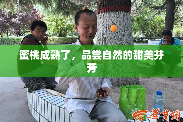 蜜桃成熟了，品尝自然的甜美芬芳