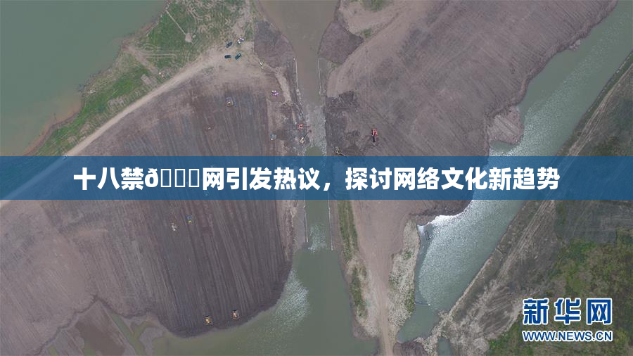 十八禁🔞网引发热议，探讨网络文化新趋势