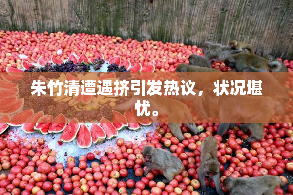 朱竹清遭遇挤引发热议，状况堪忧。