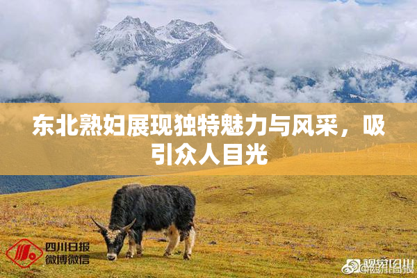 东北熟妇展现独特魅力与风采，吸引众人目光