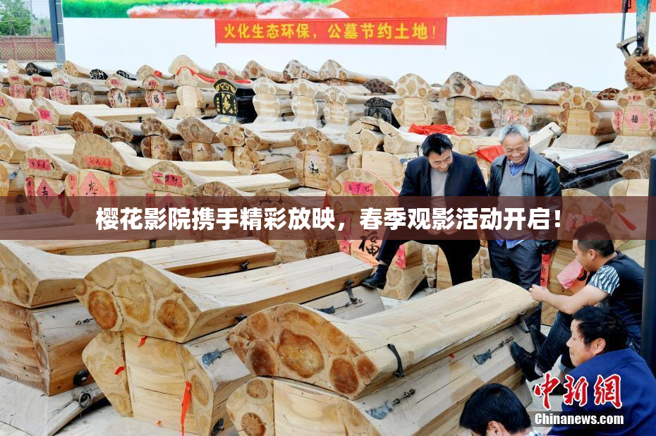 樱花影院携手精彩放映，春季观影活动开启！