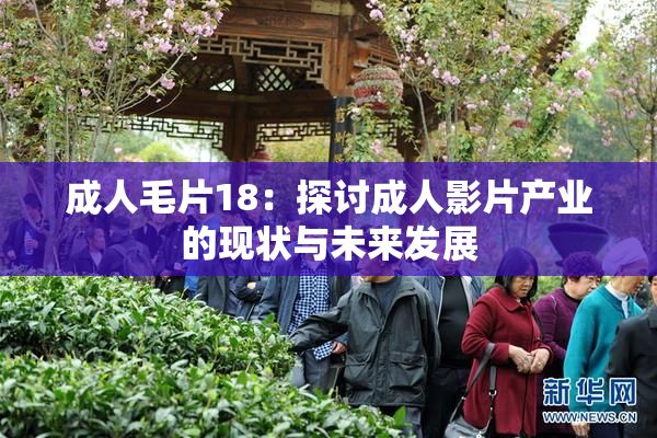 成人毛片18：探讨成人影片产业的现状与未来发展