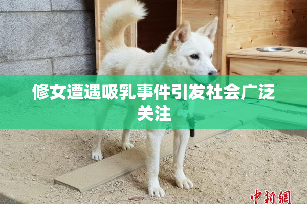 修女遭遇吸乳事件引发社会广泛关注