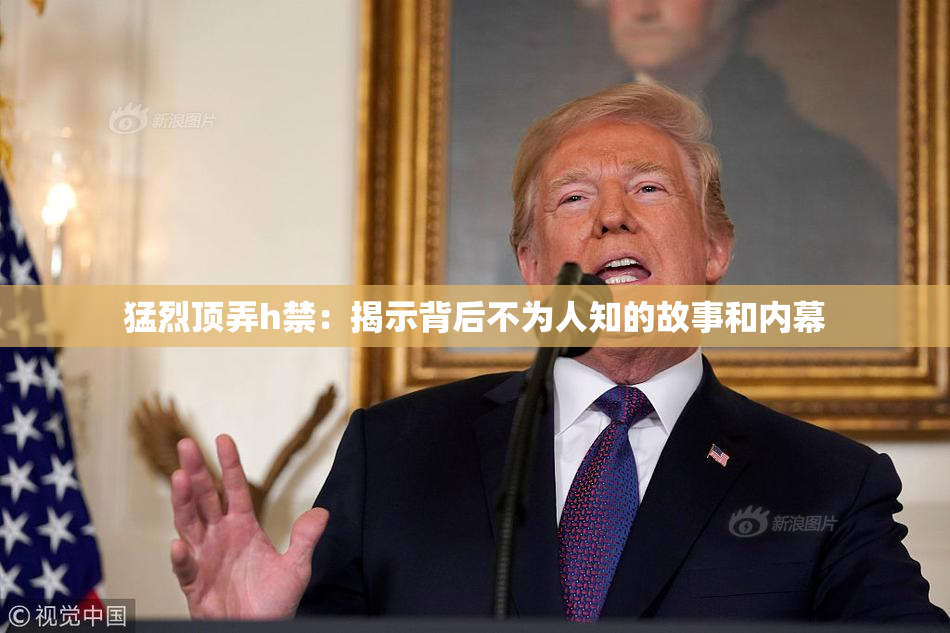 猛烈顶弄h禁：揭示背后不为人知的故事和内幕