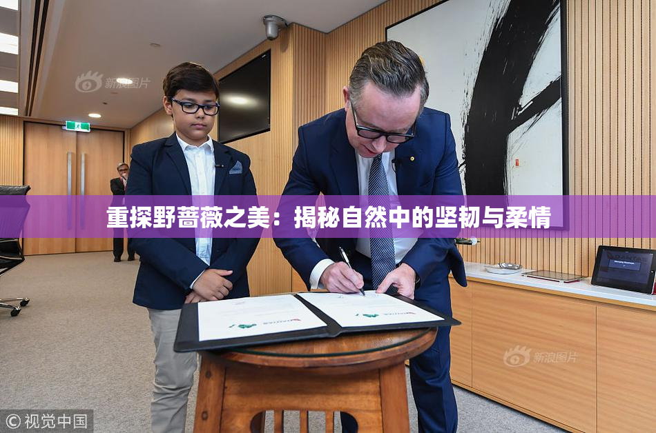 重探野蔷薇之美：揭秘自然中的坚韧与柔情