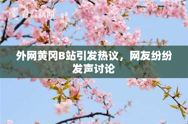 外网黄冈B站引发热议，网友纷纷发声讨论