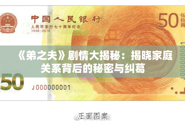 《弟之夫》剧情大揭秘：揭晓家庭关系背后的秘密与纠葛
