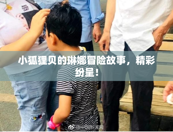 小狐狸贝的琳娜冒险故事，精彩纷呈！