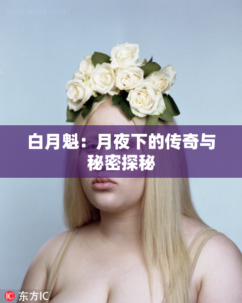 白月魁：月夜下的传奇与秘密探秘