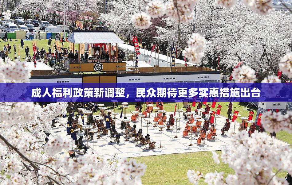 成人福利政策新调整，民众期待更多实惠措施出台