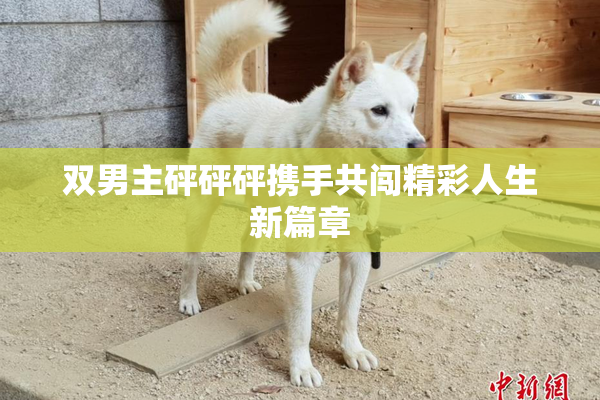 双男主砰砰砰携手共闯精彩人生新篇章