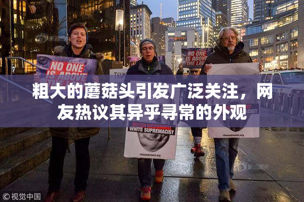 粗大的蘑菇头引发广泛关注，网友热议其异乎寻常的外观