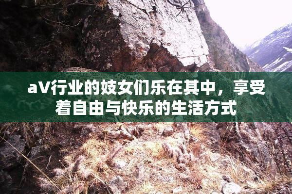 aV行业的妓女们乐在其中，享受着自由与快乐的生活方式