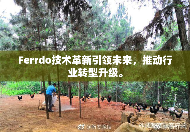 Ferrdo技术革新引领未来，推动行业转型升级。