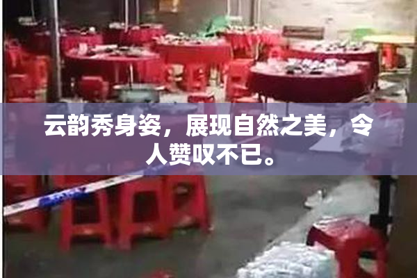 云韵秀身姿，展现自然之美，令人赞叹不已。