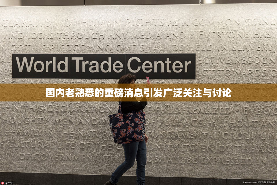 国内老熟悉的重磅消息引发广泛关注与讨论