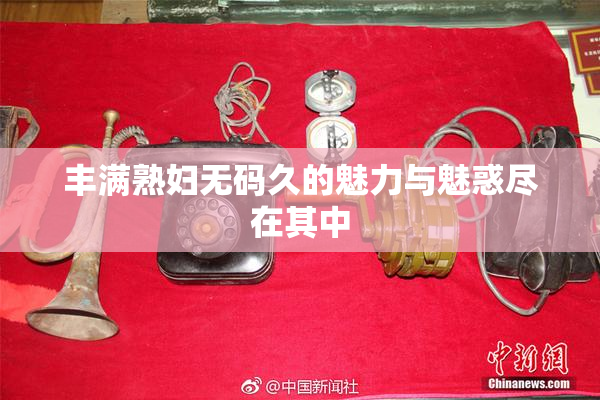 丰满熟妇无码久的魅力与魅惑尽在其中